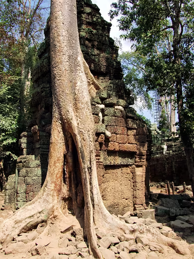 Ta Prohm