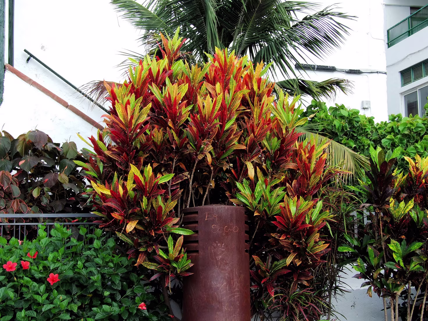 Santa Cruz - Plaza de Santo Domingo