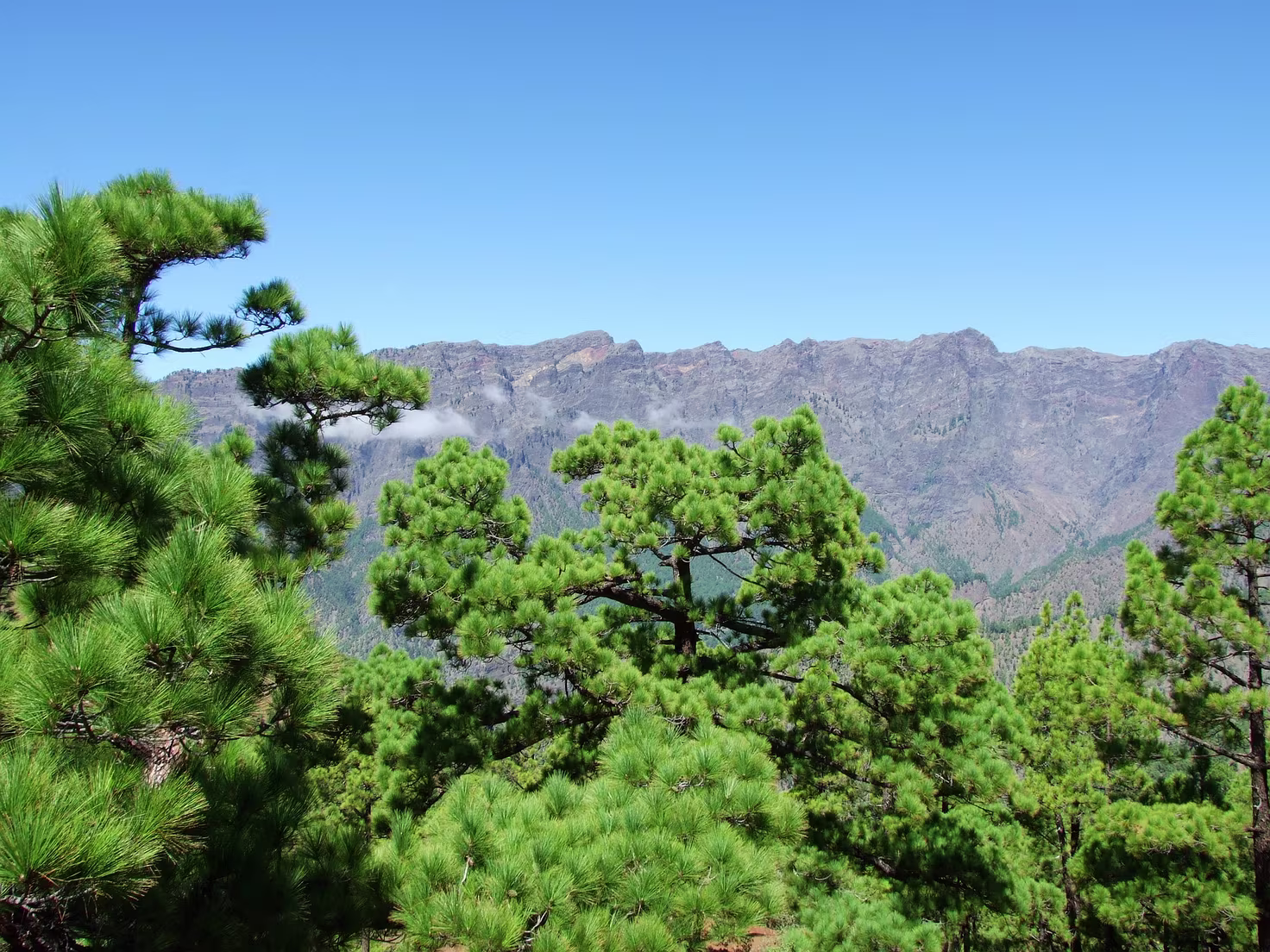 Cumbrecita- Blick in Caldera de Taburiente