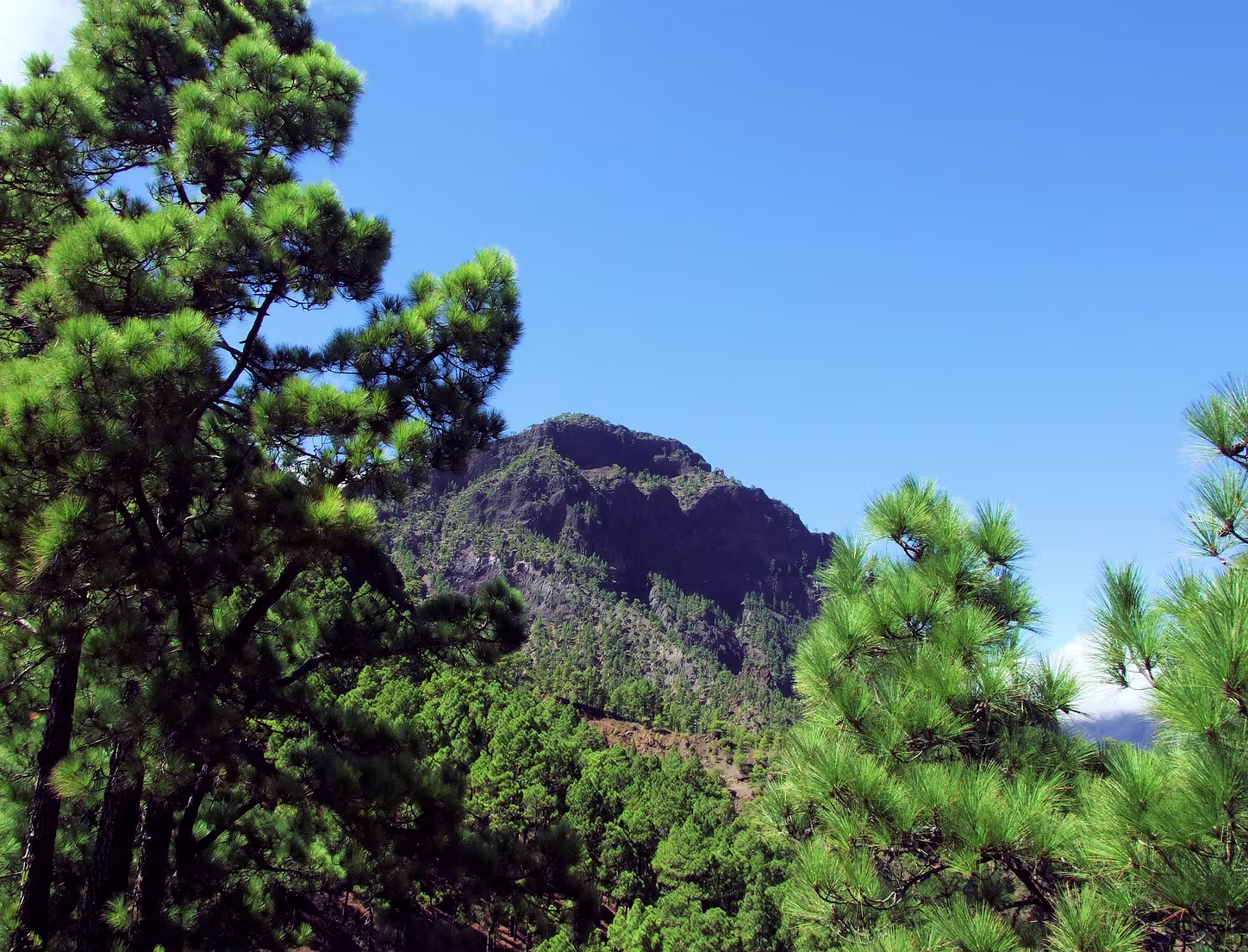 Cumbrecita- Blick in Caldera de Taburiente