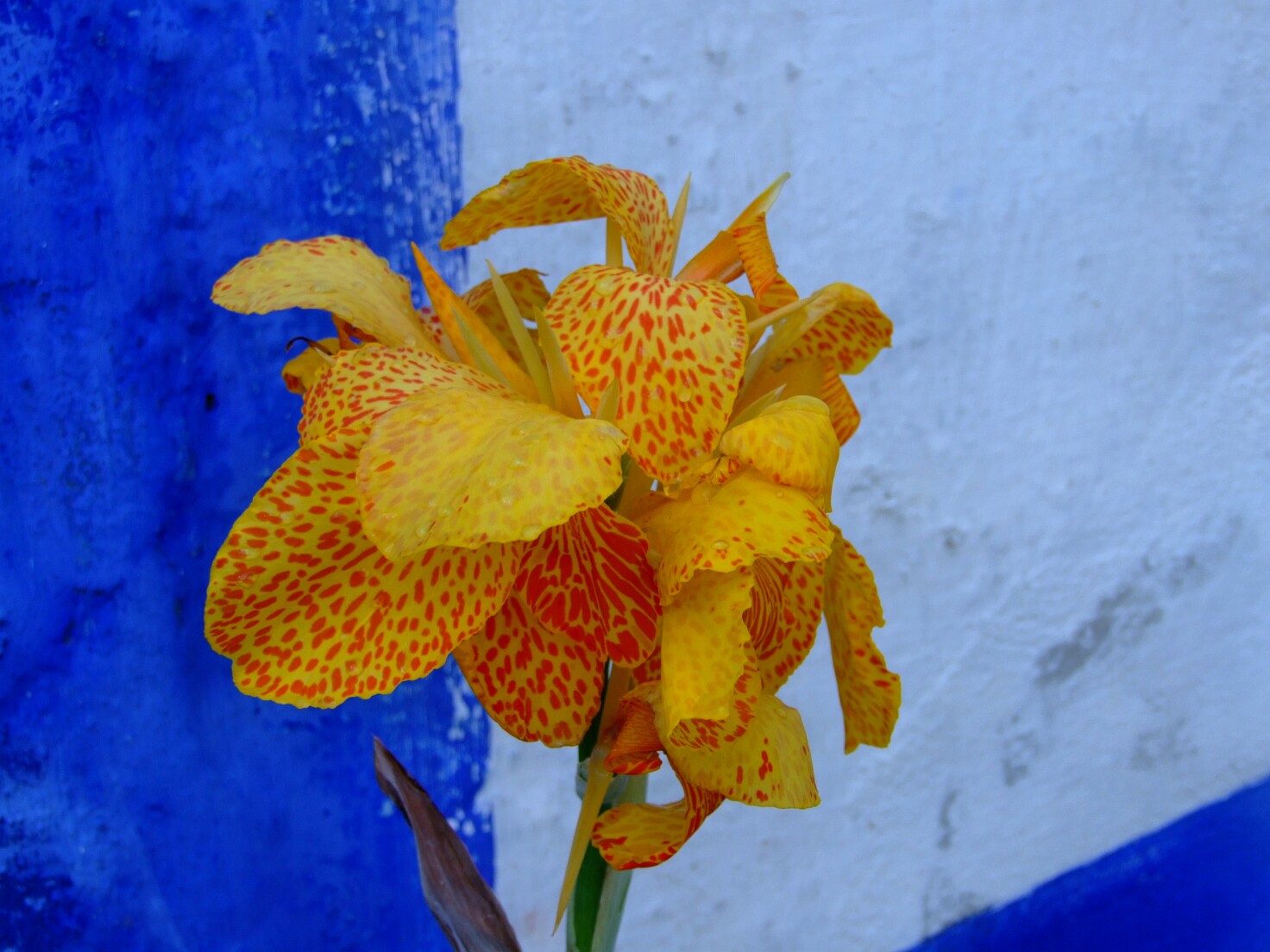 2007-1006-Portugal0175
