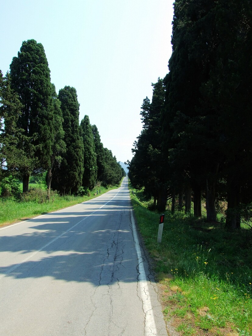 Toskana20090501-115933