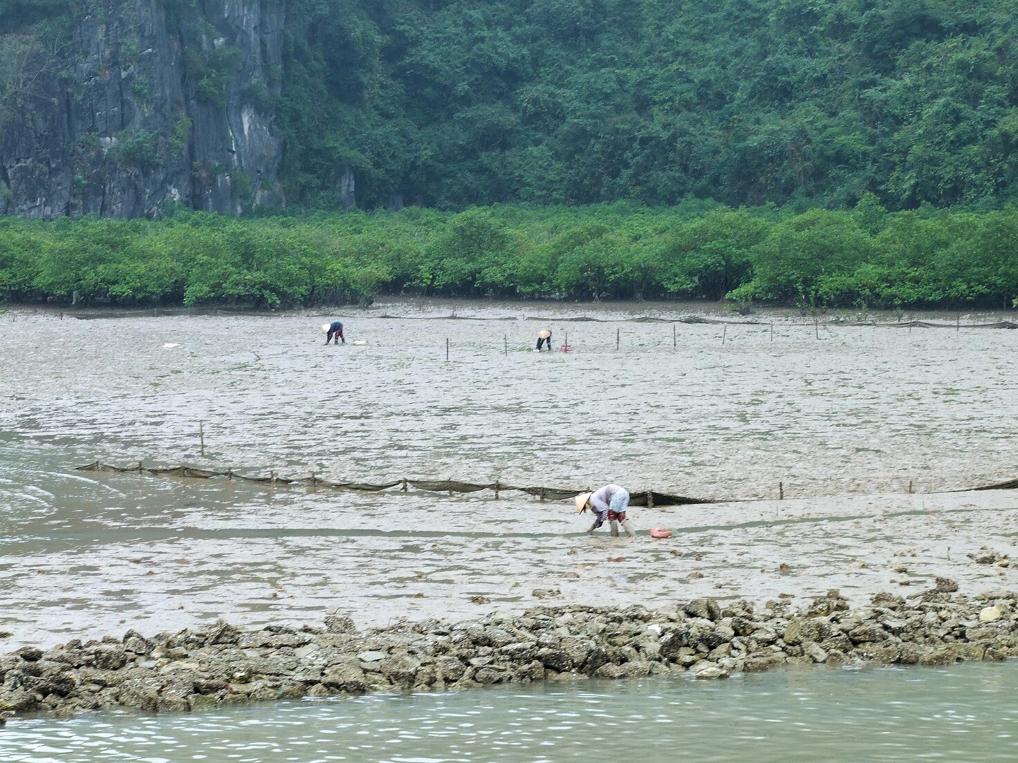 Halong-Bucht
