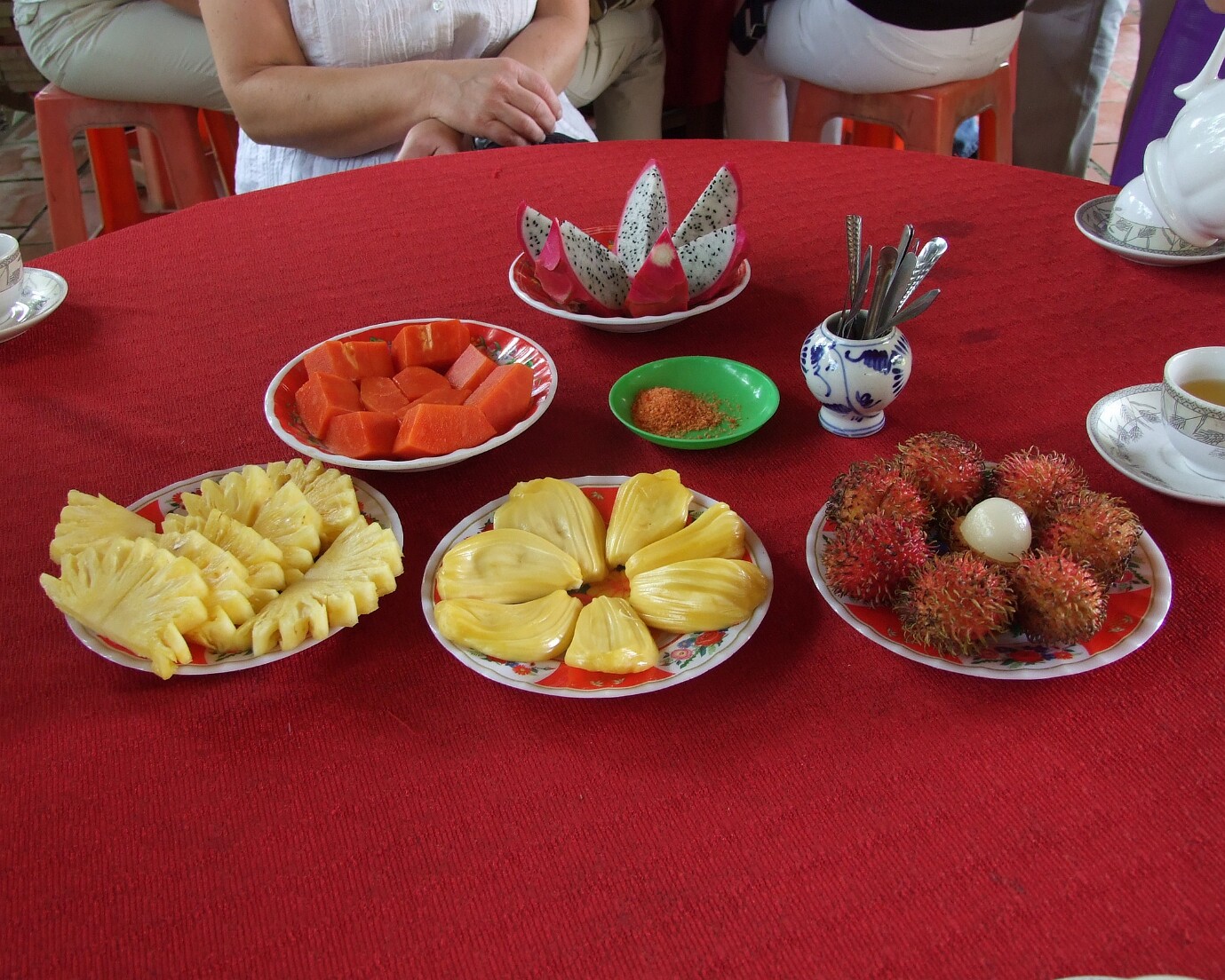 Mekong-Delta (Ananas, Papaya, Drahenfrucht, Rambutan, Jak-Frucht)