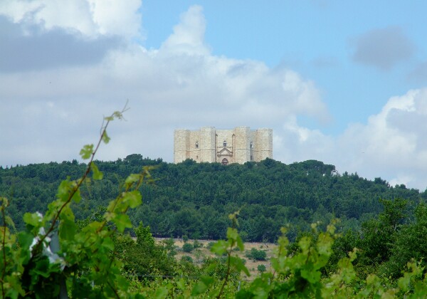 Apulien (Italien) 2008 Apulien (Italien) 2008 Fotos von meiner Studienreise nach Apulien im Juni 2008