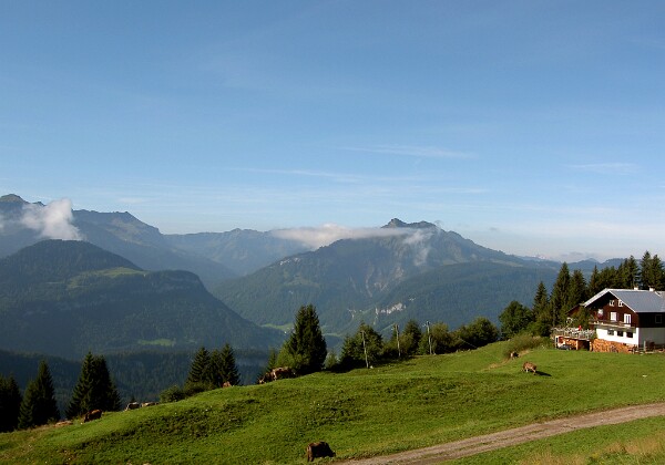 Bregenzer Wald 2008 Bregenzer Wald 2008 Fotos von meinem Wanderurlaub im Bregenzer Wald im September 2008 in der Umgebung von Hittisau.
