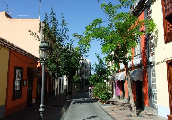 La Palma 2010 La Palma 2010 Fotos von meiner Wanderstudienreise auf die Kanareninsel La Palma im September 2010.