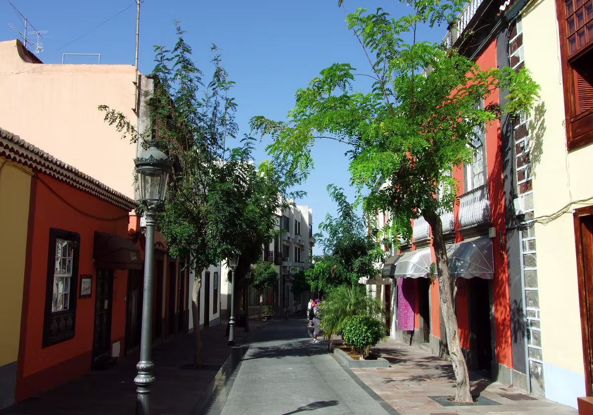 La Palma 2010 La Palma 2010 Fotos von meiner Wanderstudienreise auf die Kanareninsel La Palma im September 2010.