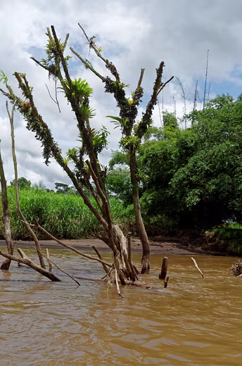 Costa-Rica-2016-43