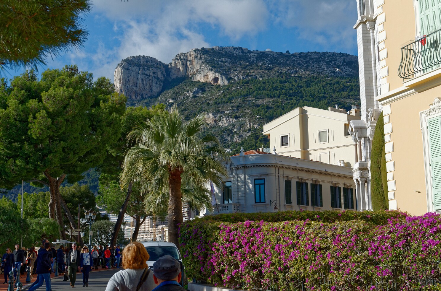 Monaco - Umgebung der Kathedrale