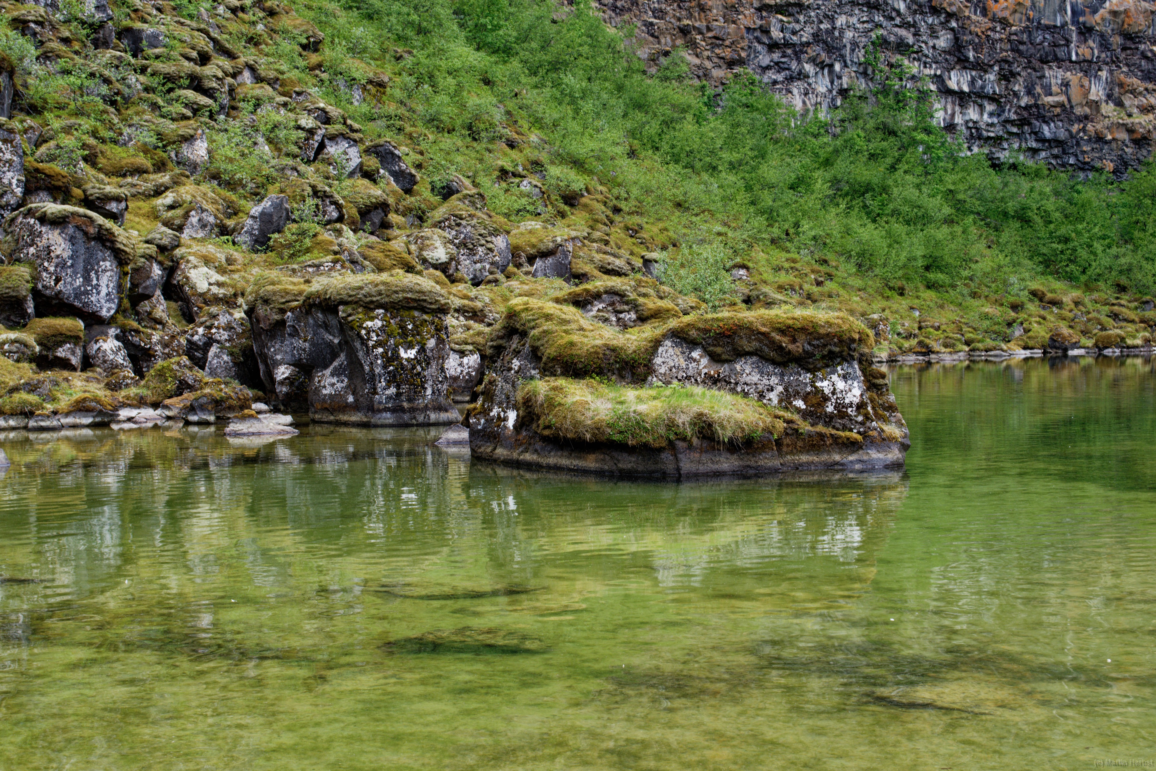 In der Schlucht Asbyrgi Asbyrgi ist eine hufeisenförmige Schlucht im Jökulsárgljúfur-Nationalpark