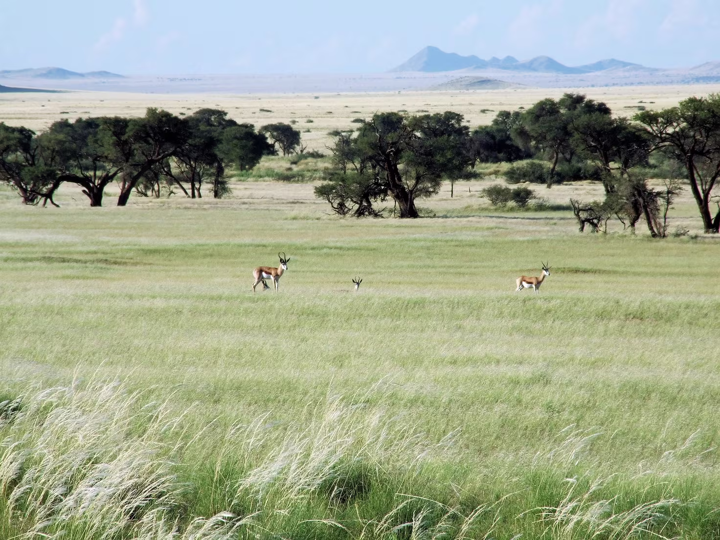 Namib Desert Lodge