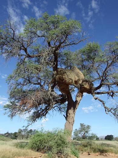 Namibia2011-23