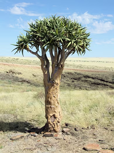 Namibia2011-29