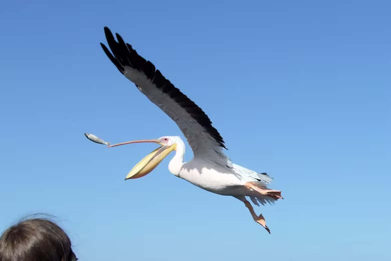 Namibia2011-33