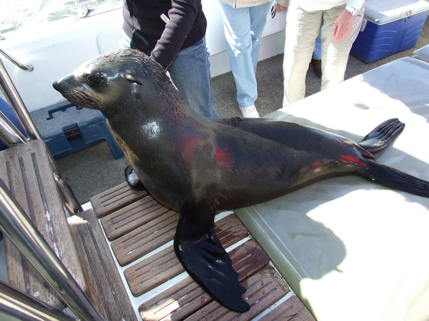 Walvis Bay