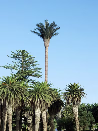 Namibia2011-38