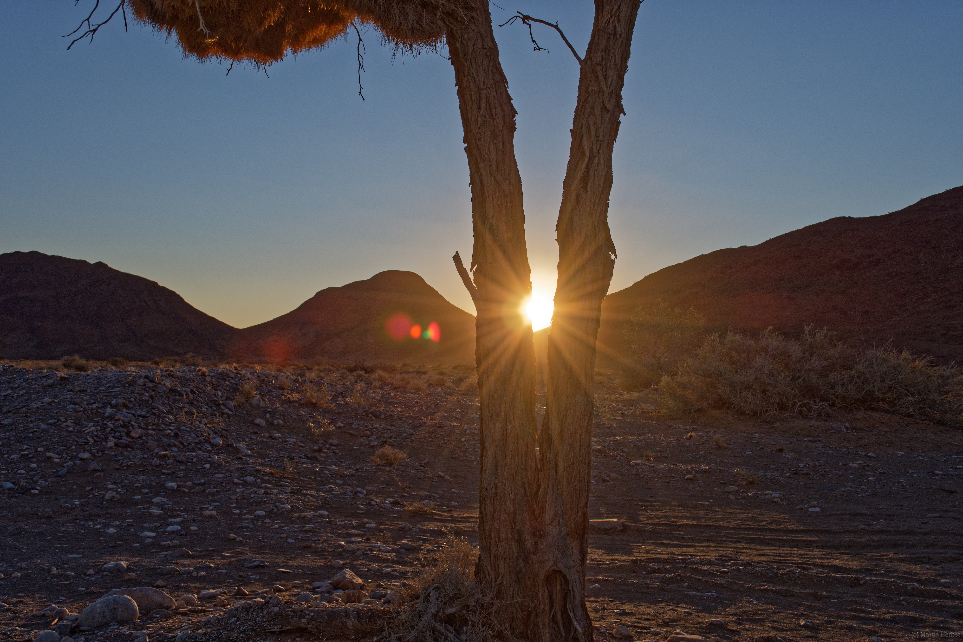 Namib Naukluft Park Auf dem Weg von der Namib Desert Lodge zum Sossusvlei