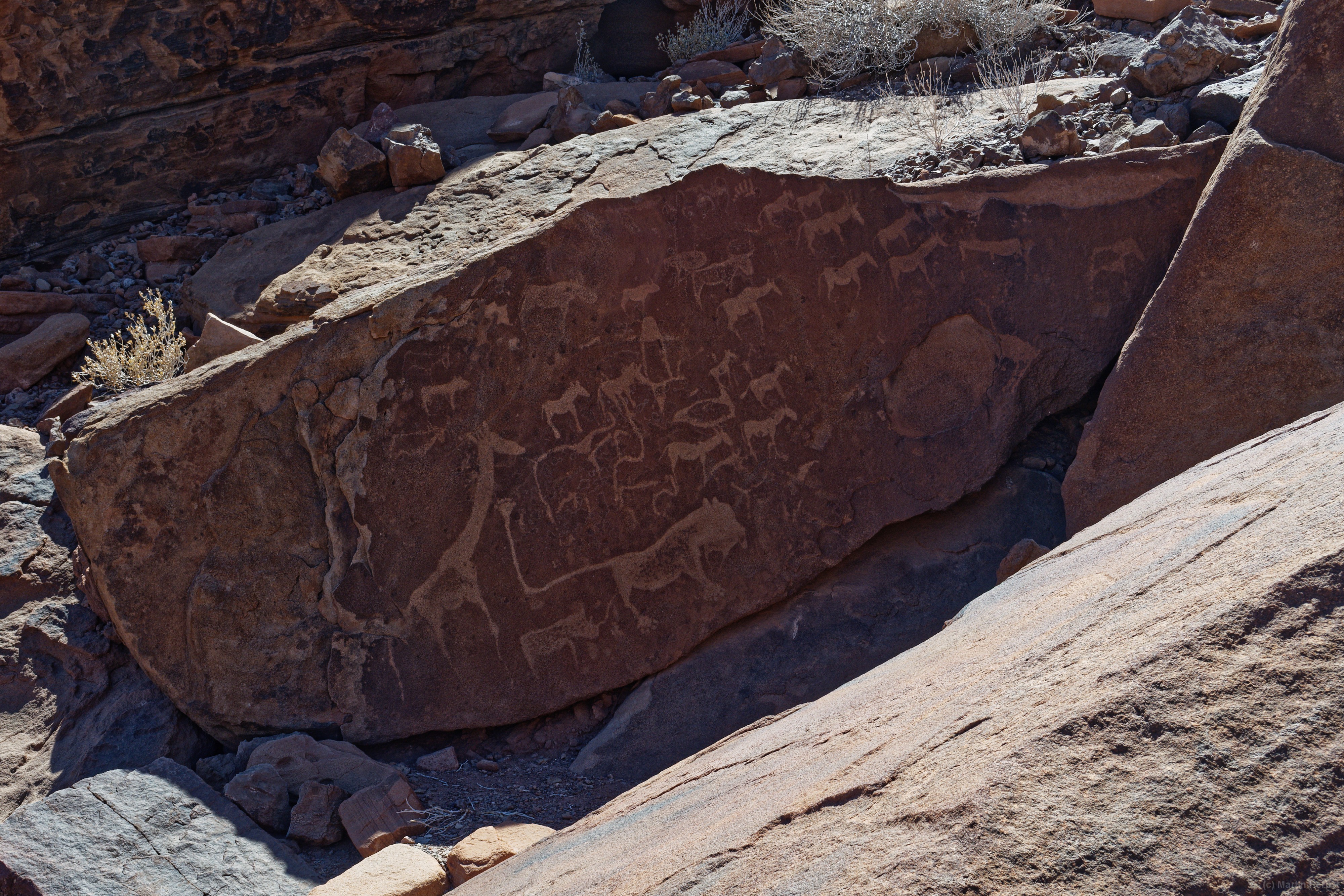 Felszeichnungen von Twyfelfontein Die Felszeichnungen haben ein geschätztes Alter von 10.000 Jahren