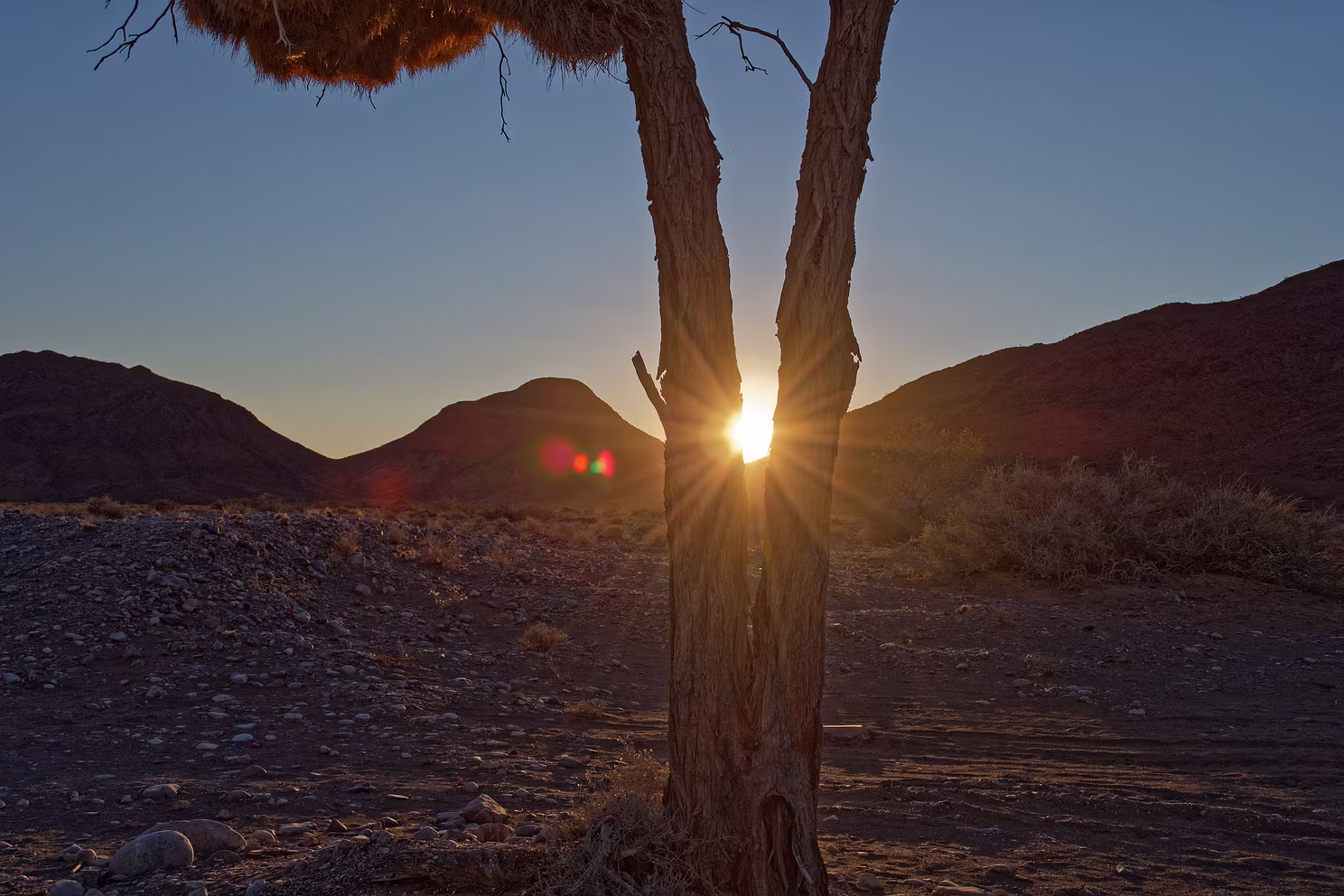 Namib Naukluft Park