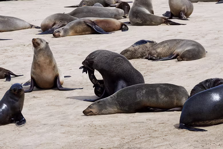Namibia_201909271032082