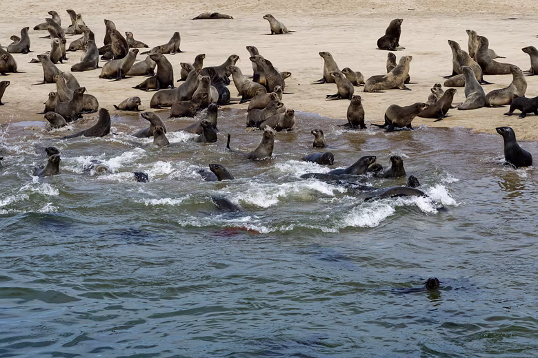 Namibia_201909271034083