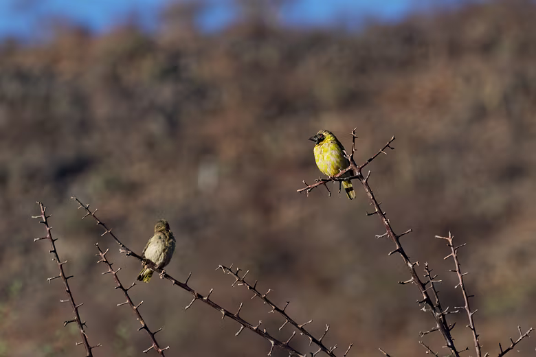 Namibia_201909301814161