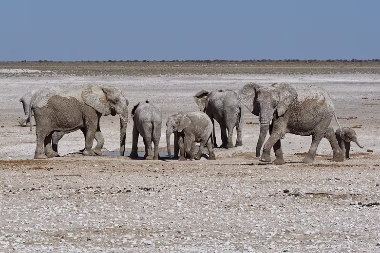 Namibia_201910011533182