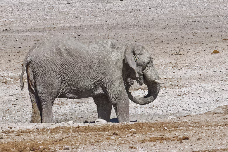 Namibia_201910011537185