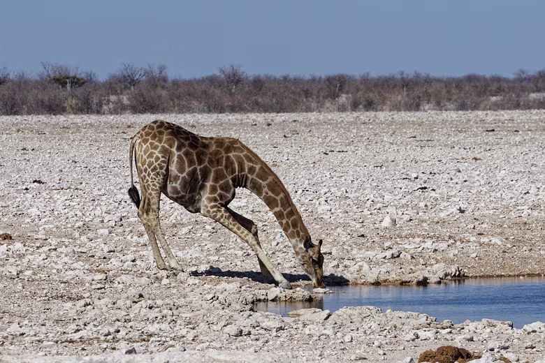 Namibia_201910011611190