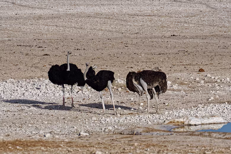 Namibia_201910011746197