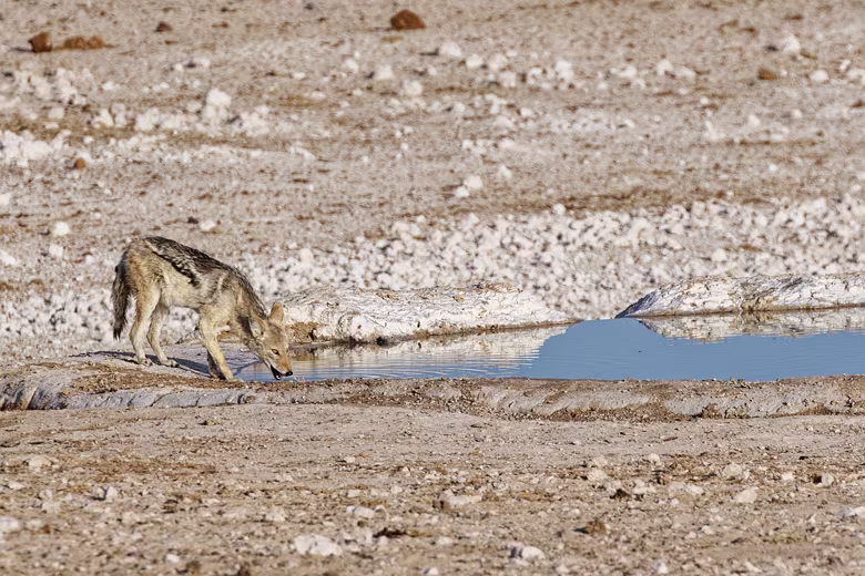 Namibia_201910011756200
