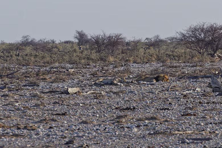 Namibia_201910011756201