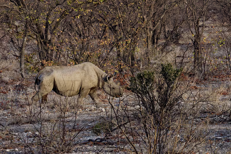 Namibia_201910011825203