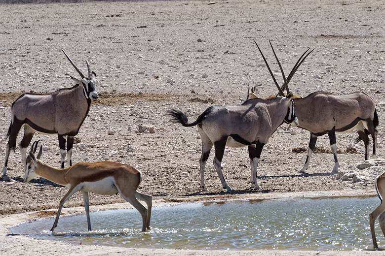 Namibia_201910021017210