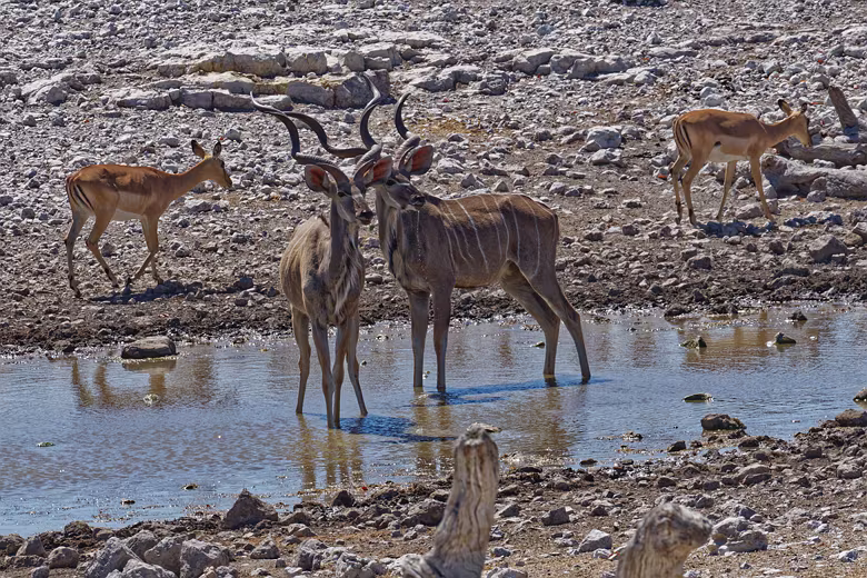 Namibia_201910021043215