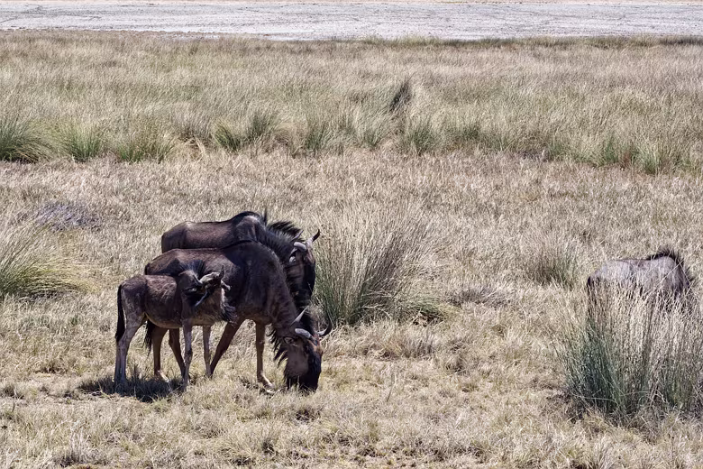 Namibia_201910021408220