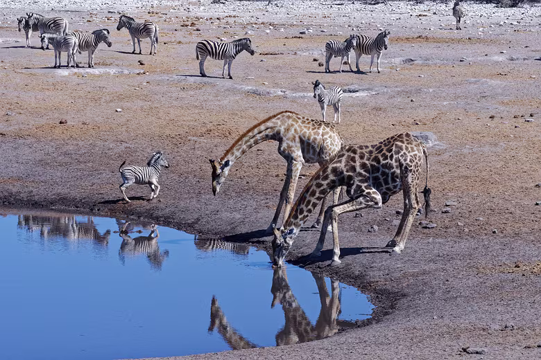 Namibia_201910021459227