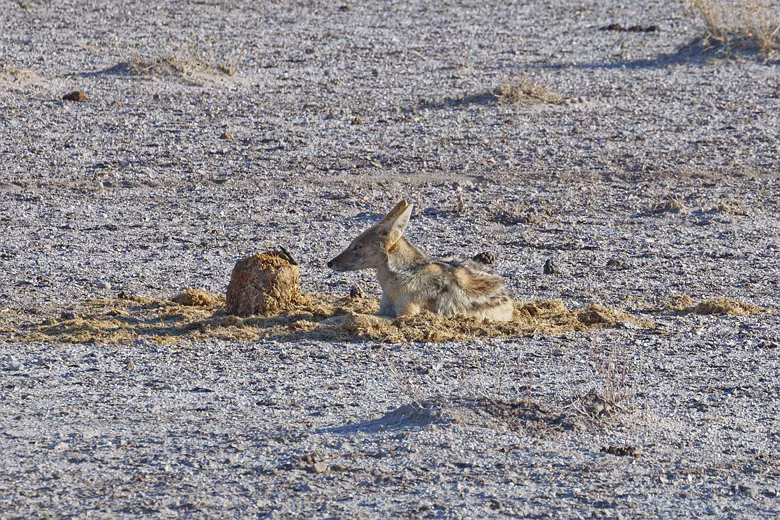 Namibia_201910030743235