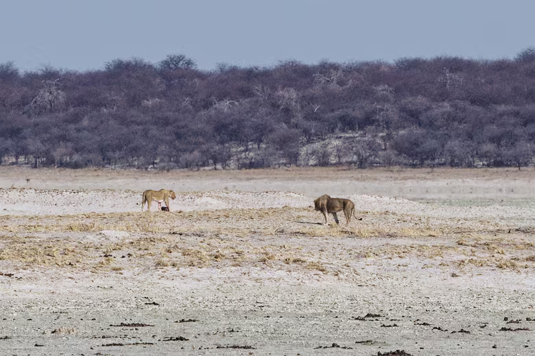 Namibia_201910030848243