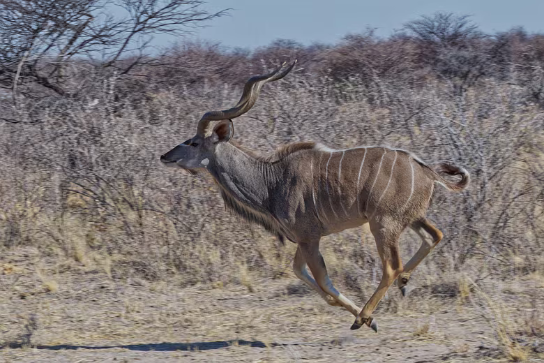 Namibia_201910030913247