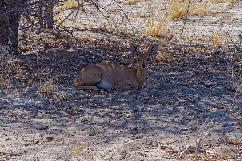 Namibia_201910030942251