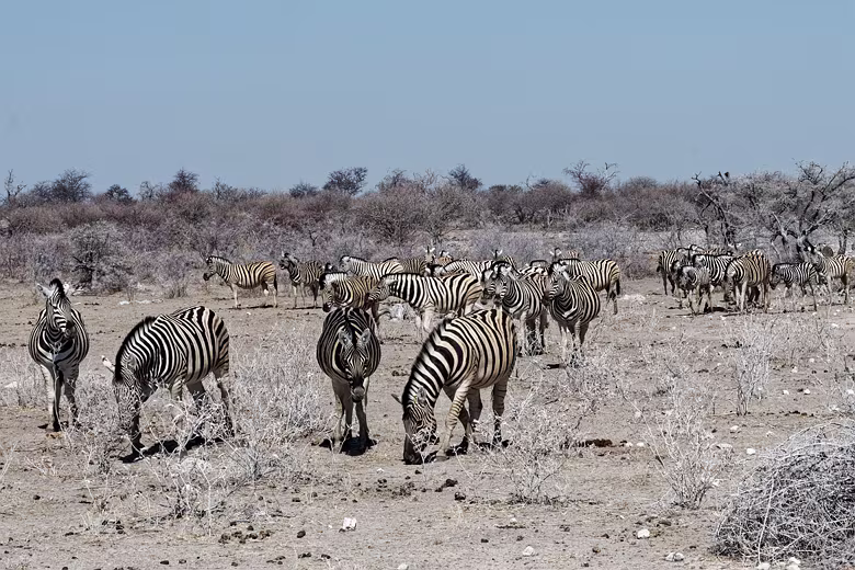 Namibia_201910030952253