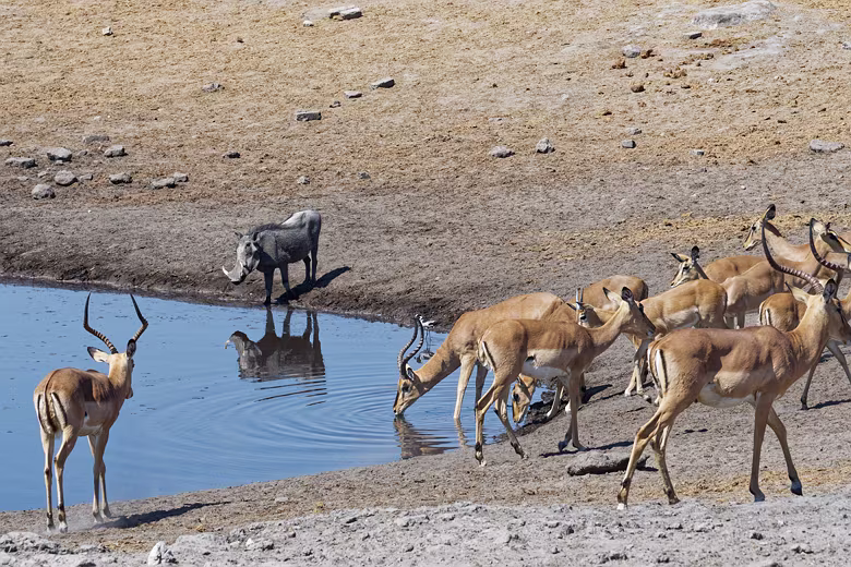 Namibia_201910031034259