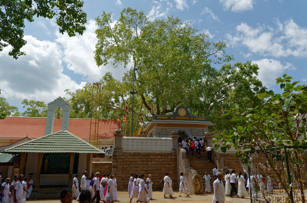 Tempelanlage von Anuradhapura - Sri Mahabodhi