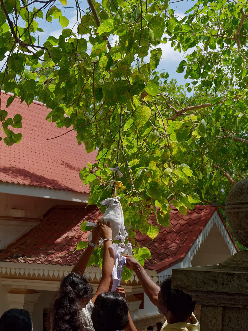 Tempelanlage von Anuradhapura- Sri Mahabodhi
