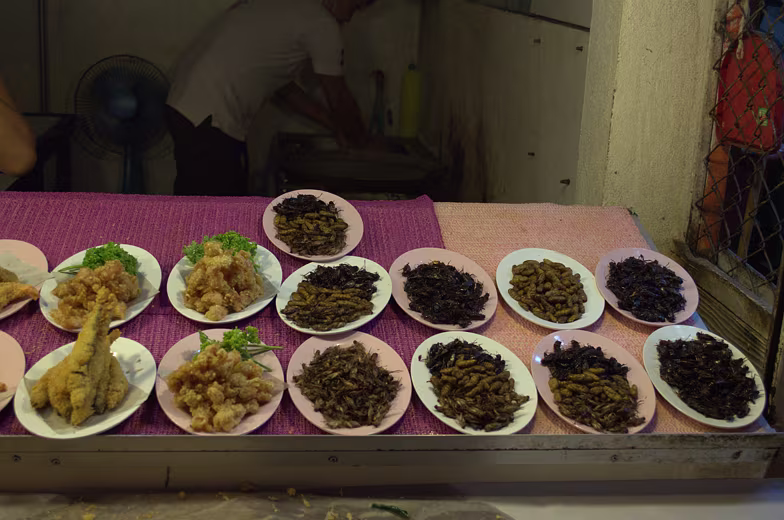 Thailand-2015-117