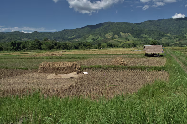 Thailand-2015-195