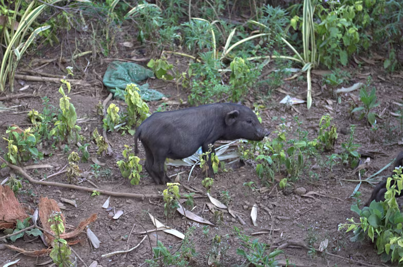 Thailand-2015-207