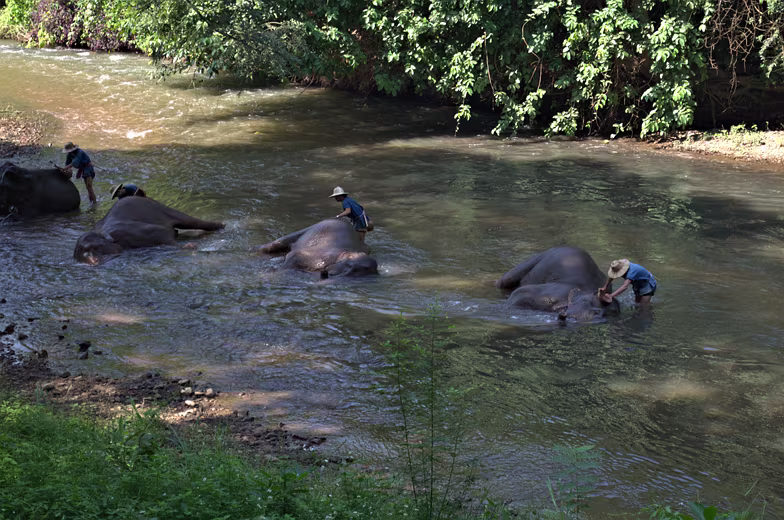 Thailand-2015-224